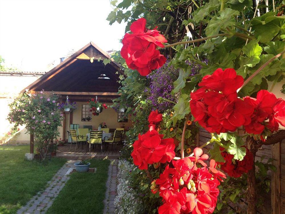 Pensiunea Fortuna Hotel Sibiu Exterior photo